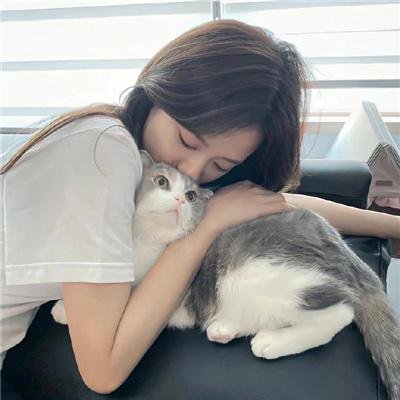 精灵总动员